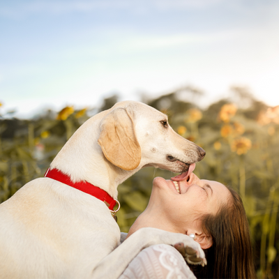 Allergic to the one you love? Tips for living with pet allergies