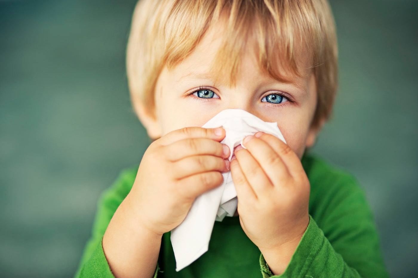 Child with hay fever blowing his nose